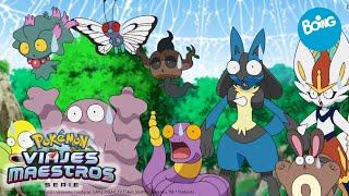 Viajes Maestros Pokémon | Glotón vs Glotón  | Boing