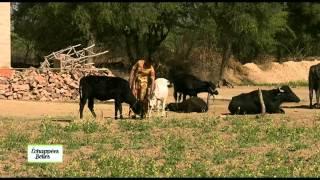 Inde, Rajasthan - Echappées belles