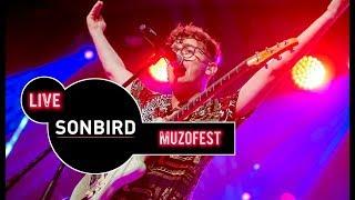 Sonbird - koncert MUZOFEST 2019