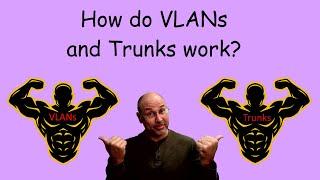 VLANs and Trunks