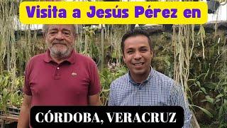 Visita a Jesús Pérez en Córdoba, Veracruz.