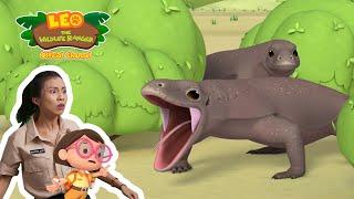 A REAL DRAGON?!?!  | Komodo Dragon | Leo the Wildlife Ranger | #minisode | Kids Cartoons