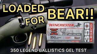 BEAR LOAD!?! 350 Legend Winchester Super-X 180gr Power Point Ammo Test