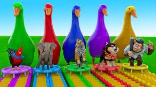 5 Giant Duck Cartoon,Cow,Elephant,Tiger,Lion,Dinosaur,Paint Wild Animals Crossing Fountain Animation