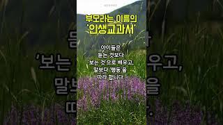 부모는 아이의 '인생교과서' #명언 #좋은글