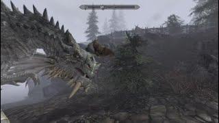 Skyrim Is Weird