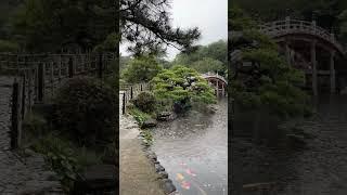 비오는 정원