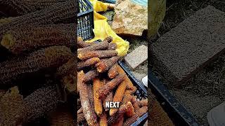 How the Chinese Grow Mushrooms on Corn Cobs #short #mushroom