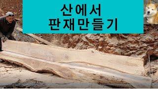 Wood 13 -  엔진톱 제재기,굴참나무 판재 만들기,산에서,시골에서,시골공방,wood wood