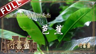 《诗书画》芭蕉 江南小院的别样风情 雨和芭蕉 || 20191215【东方卫视官方高清HD】