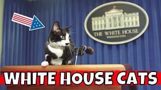 Which U.S. Presidents Had Cats in the White House?