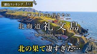 【教えたくない】日本最北端！離島ランキング1位！礼文島ひとり旅は絶景・グルメ最高すぎた！おすすめ絶景スポット【北海道離島・旅行・離島・秘境・観光】Rebun Island, Japan