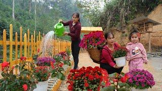 Grow a beautiful flower garden with your daughter - Harvest cabbage to sell at the market