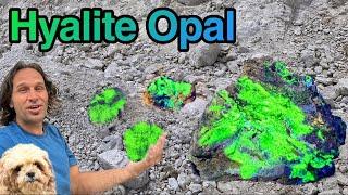 One of the BEST Hyalite Opal Claims on the Planet!