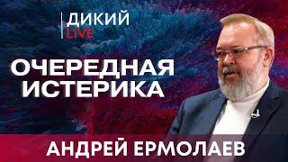 По скользким ступеням… Андрей Ермолаев. Дикий LIVE.