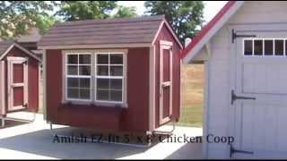 Amish EZ-fit 5' x 8' Chicken Coop