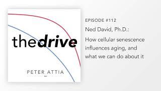 #112 – Ned David, Ph.D.: How cellular senescence influences aging, and what we can do about it