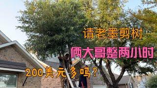 90后美国真实生活：请两个墨西哥大哥剪树，两个小时花200美元，你们觉得怎么样？