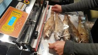 굴비진공포장,법성포,굴비.진공포장기,AP-450E