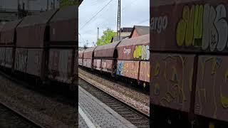 RBH 145+145 Mit Kohlezug In Richtung SDLH durchgerauscht in SVL #rbh #bahnhof #db #deutschland