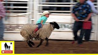 Mutton Bustin'  2021 Saint's Roost Ranch Rodeo | Saturday