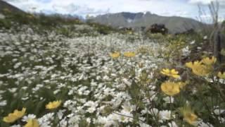 Magical Belovodye: Pure Land of White Water in Altai Mountains, Siberia