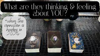 Pick A Card What Are Their THOUGHTS  & FEELINGSAbout You Right NOW? + 2024 Connection Forecast