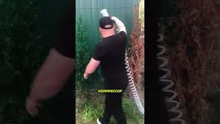 Покрасил двор и вернул зелень за минуту