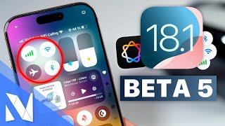 iOS 18.1 Beta 5 - Was ist neu? (Control Center, Apple AI & Camera Control) | Nils-Hendrik Welk