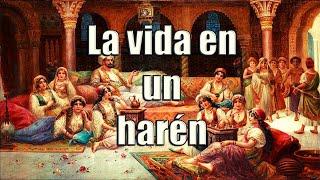 WHAT WAS LIFE LIKE in a HAREM?