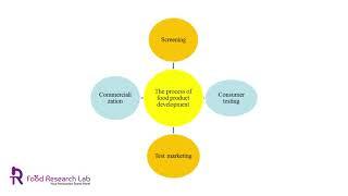 Food Product Development Process