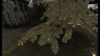 the final battle