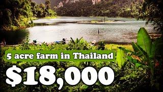 We bought a beautiful 5acre farm in Thailand for just $18,000 