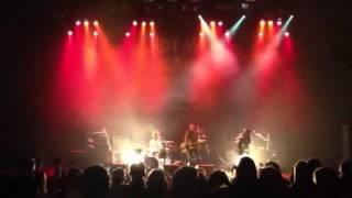 The Dandy Warhols - Bohemian Like You live