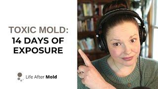 What Happens if You Are Exposed to TOXIC MOLD for 14 days