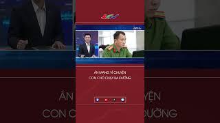 Án mạng vì chuyện con chó chạy ra đường #shortshgtv | Truyền hình Hậu Giang