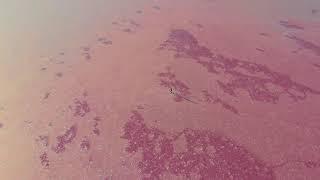 [Australia by drone] Pink lake - Loch lel - SA - Australia