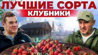 БОЛЬШОЙ урожай КЛУБНИКИ в любом климате. Как вырастить ягоду и выгодно продать. Бизнес на клубнике