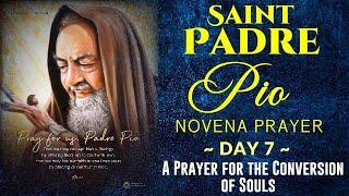 07 SEVENTH DAY SAINT PADRE PIO OF PIETRELCINA NOVENA PRAYER FOR THE COVBERSION OF SOULS