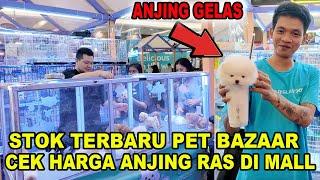 Cek Harga Anjing Ras Di Mall