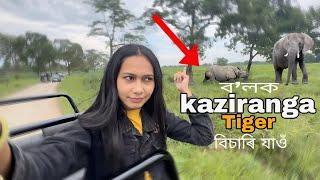 This is kaziranga National Park | Jeep Safari