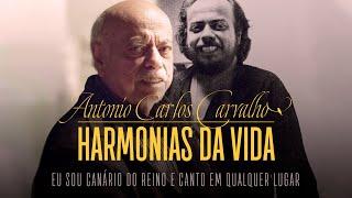 Harmonias da Vida - Antonio Carlos Carvalho