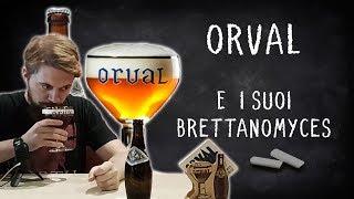 SKAL! Una trappista particolare: Orval e i suoi brettanomyces. Degustazione #12