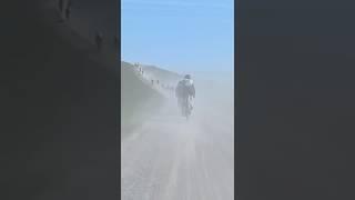 The Beginning of SEA OTTER 