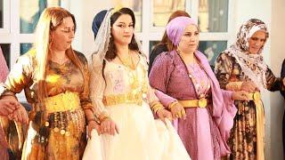 Hakkari Düğünleri | Melek & Savaş Çiftçi Ailesi’nin Düğünü ©️2024 Hozan Tayyip Kurdish Wedding