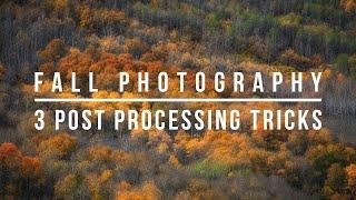 Fall Photography - 3 Post Processing Tricks to Make Your Photos Pop!