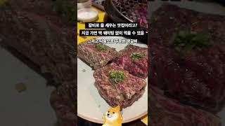 강남 가성비 소갈비의 정석. 회식에 최고 | 노란상소갈비