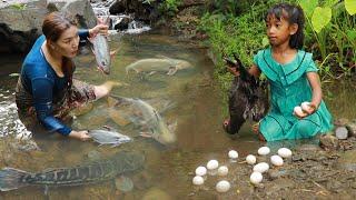 Catch many fish and duck for survival-Grilled fish for dinner- Cooking duck spicy so delicious