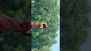 Mini goa jaldi hi video aane wala h #trending #viralvideo #minivlog #shortvideo #shorts #vlog #new