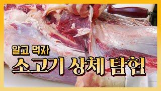 소고기 4분도체 상체 부위 발골! #2 알고 먹자 소고기 상체 탐험